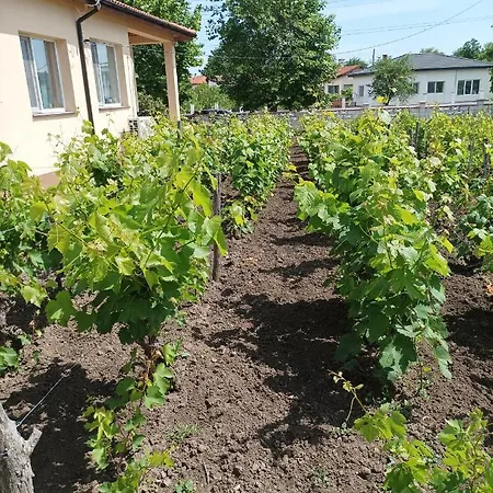 Winnica U Mirki 아파트 Gurkovo (Dobrich)